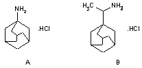 REINAF1.gif (787 bytes)