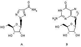 REINAF2.gif (2025 bytes)