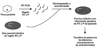 Página 245
